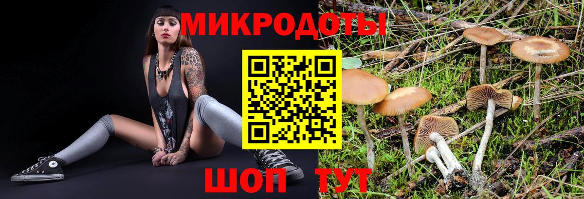Галлюциногенные грибы Cubensis Астрахань